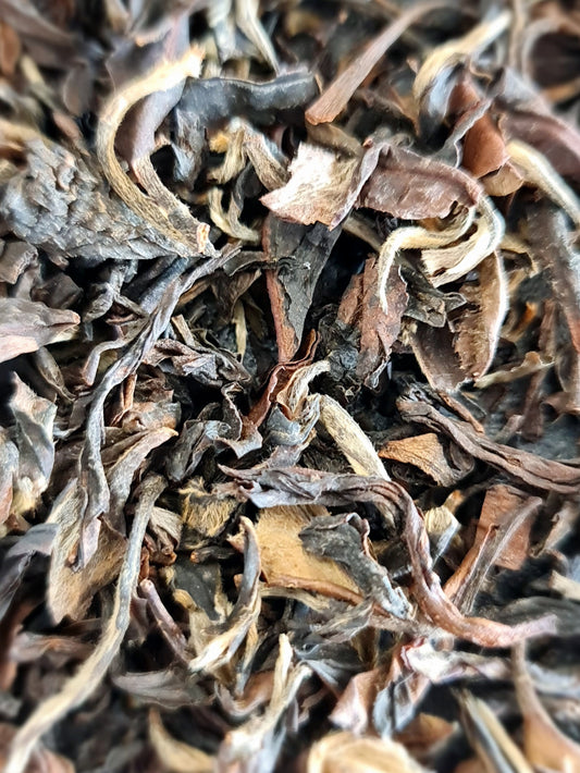 Oriental Beauty Oolong