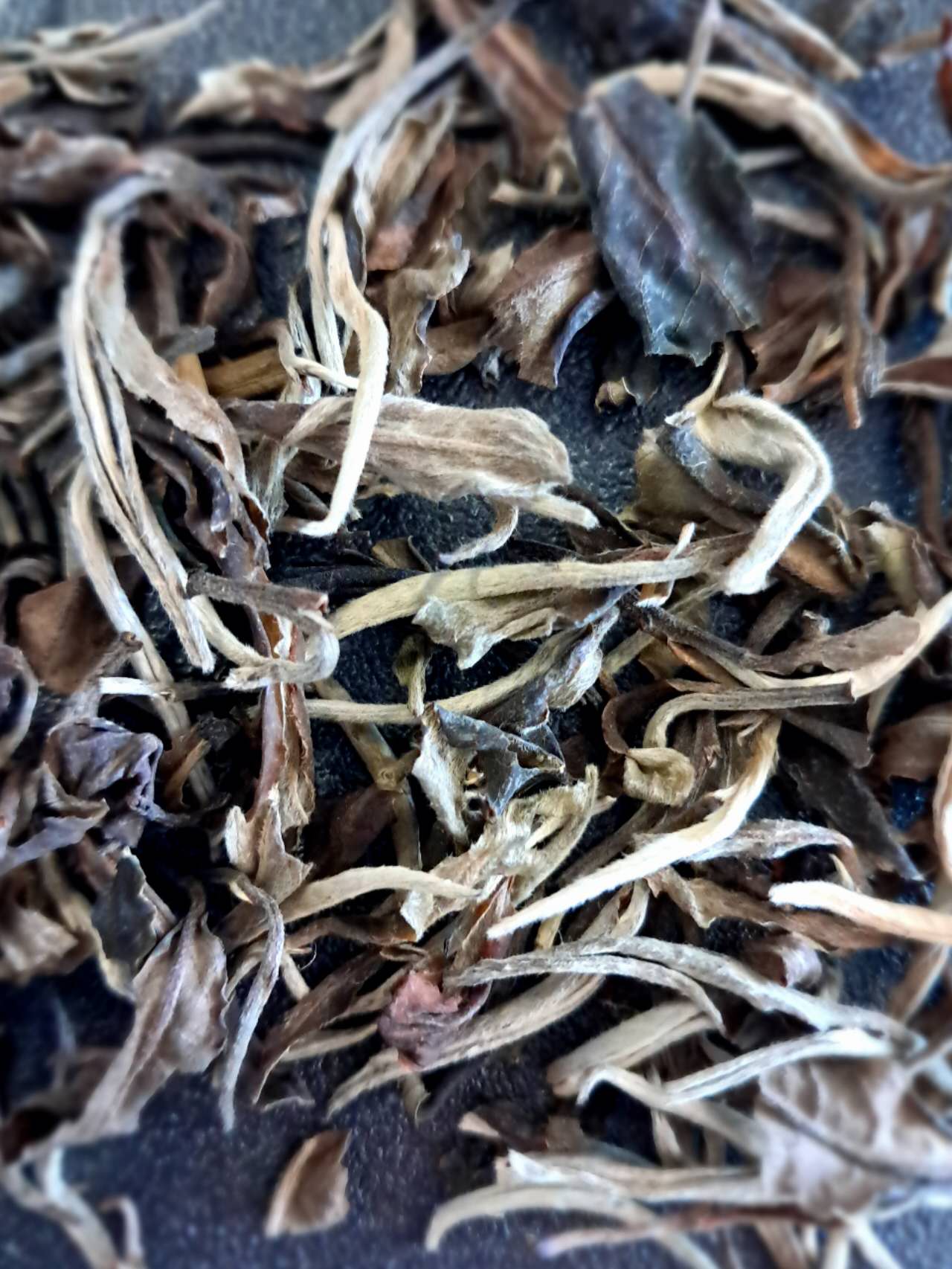 Bio White Phoenix White Tea