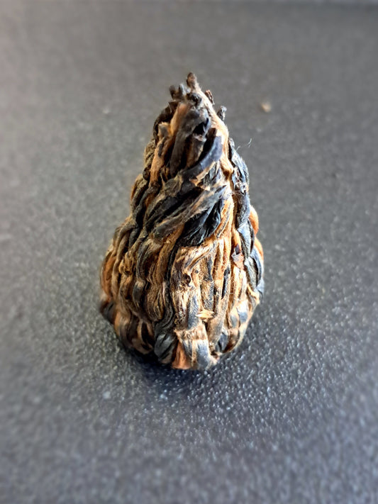 Dian Hong Honey Cone Black Tea