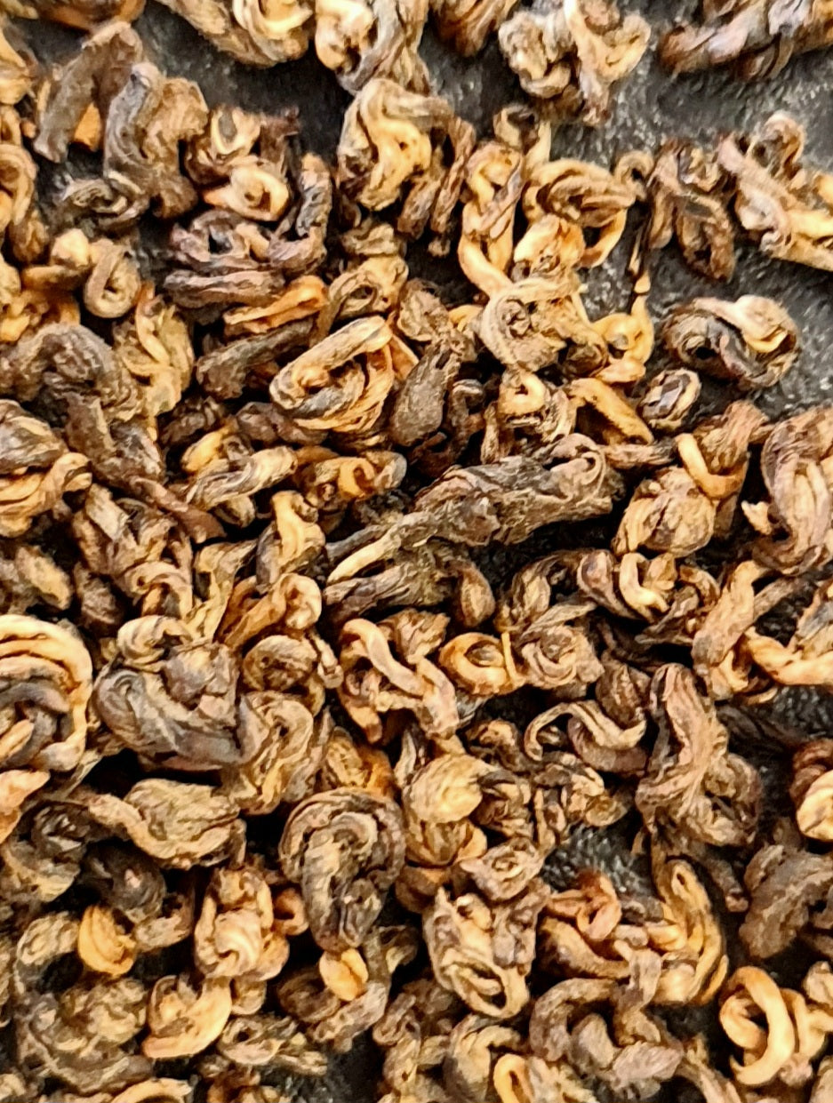 Yunnan Dianhong black tea (Golden Snail)