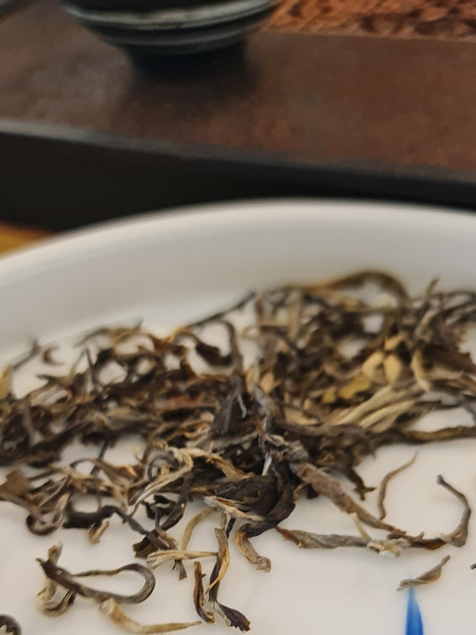 Yunnan Pine Needle Black Tea