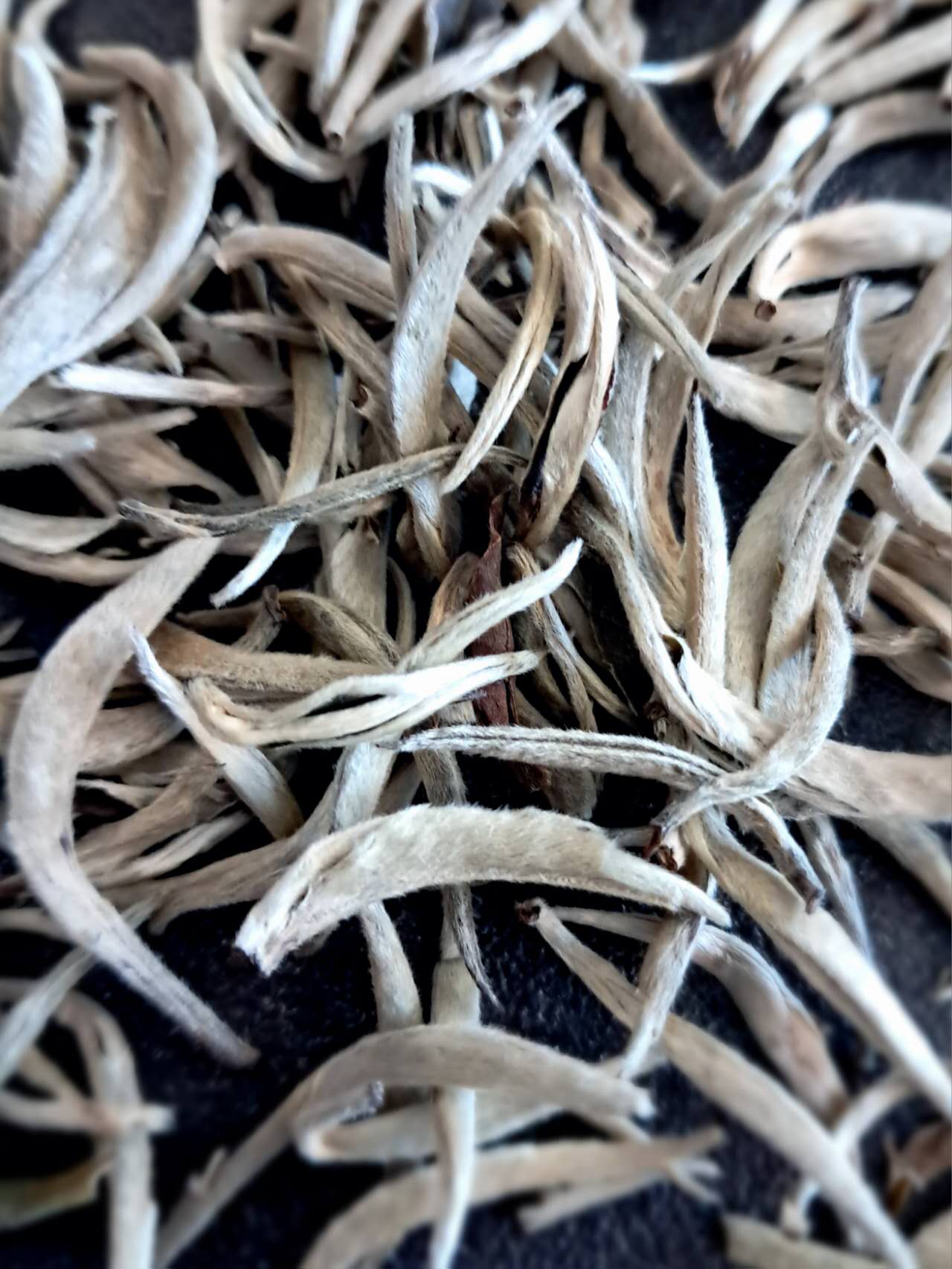 Bio Silver Needle Yunnan Biała Herbata