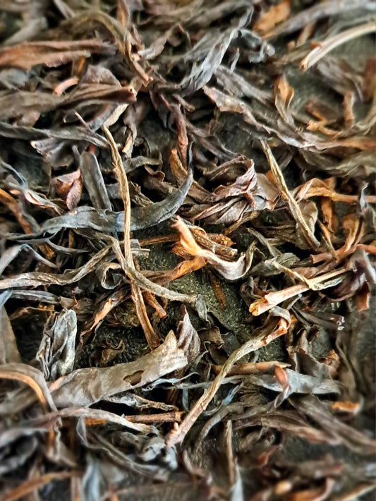 Guangdong Feng Huang Dancong（Huang Zi Xiang）