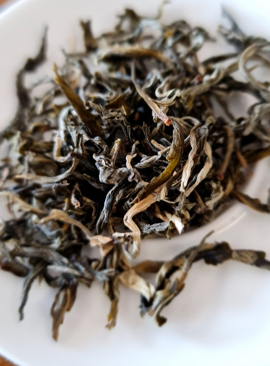 Guangxi Silver Maofeng Green Tea
