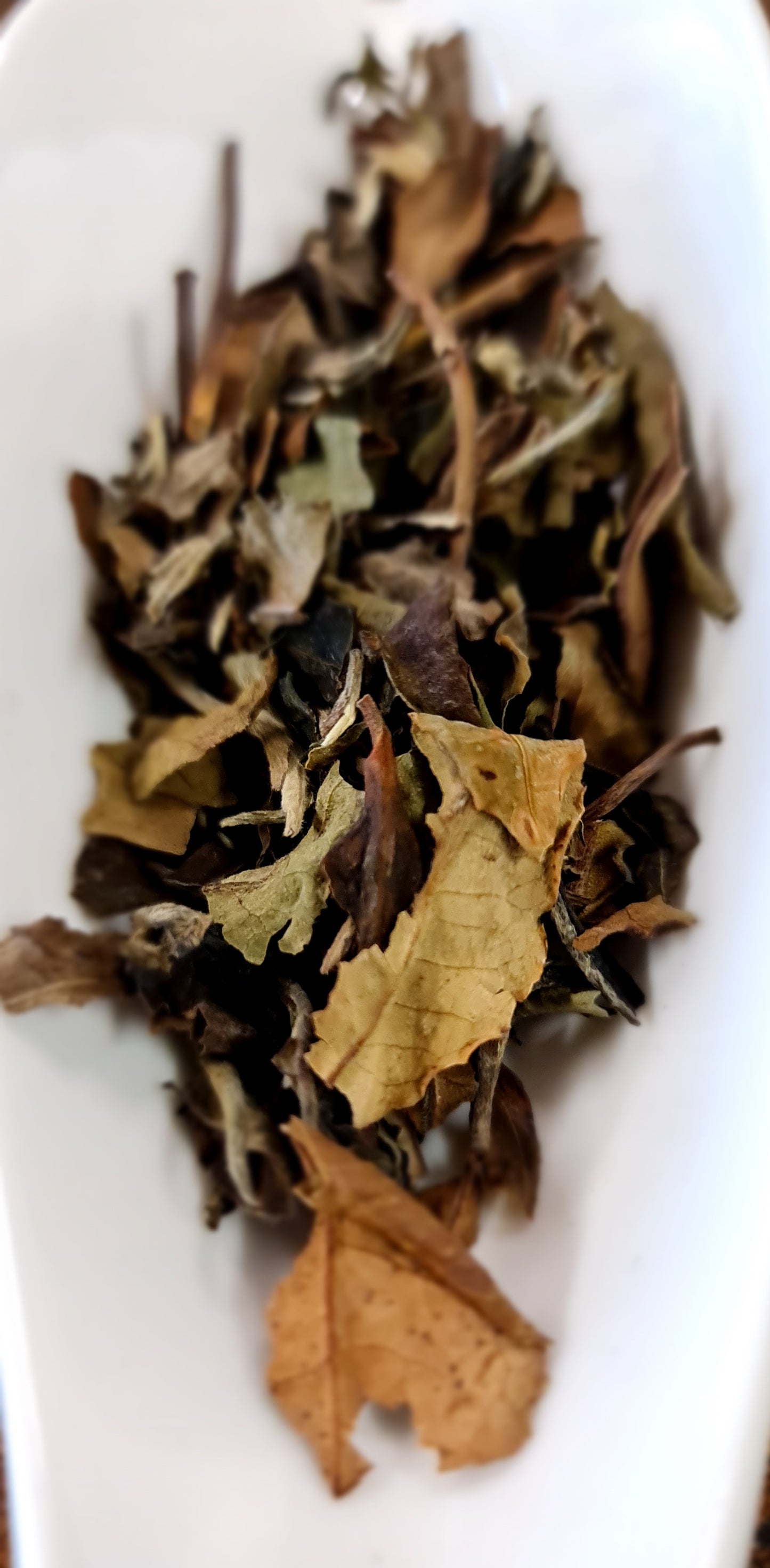 Pai Mu Tan White Tea